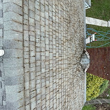 Moss-Removal-Roof-Wash-in-Pullman 3